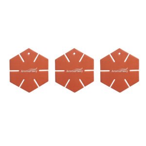 Sun-Kissed Orange Car Freshener