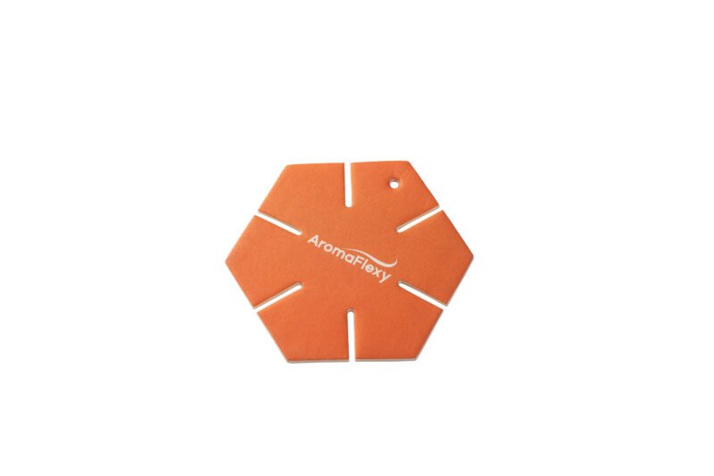 Sun-Kissed Orange Car Freshener