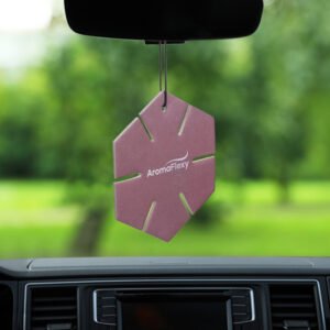 Tropical Coconut Car Freshener